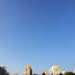 파란 하늘...